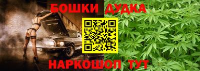 крисы Гай