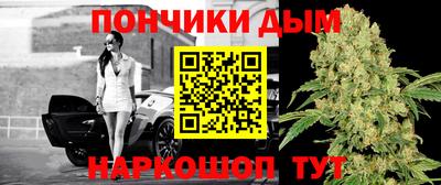крисы Гай