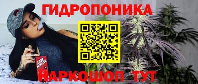 крисы Гай