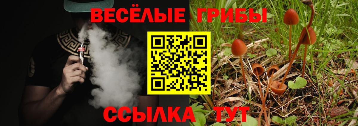 Галлюциногенные грибы мухоморы  Вход с VPN  закладка  Медногорск 